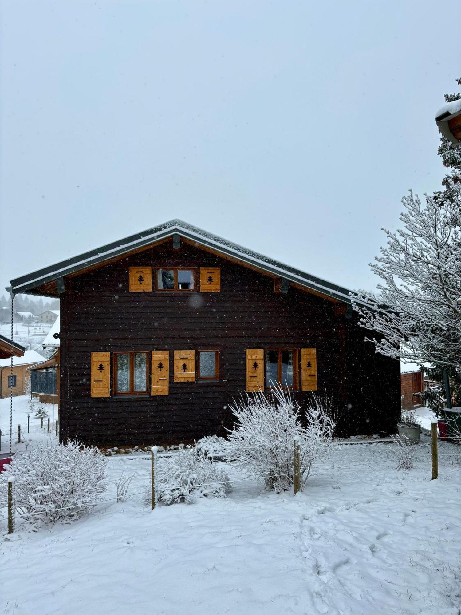 Chalet L'Embellie - Chalet Avec Piscine Partagee Saint-Laurent-en-Grandvaux Luaran gambar